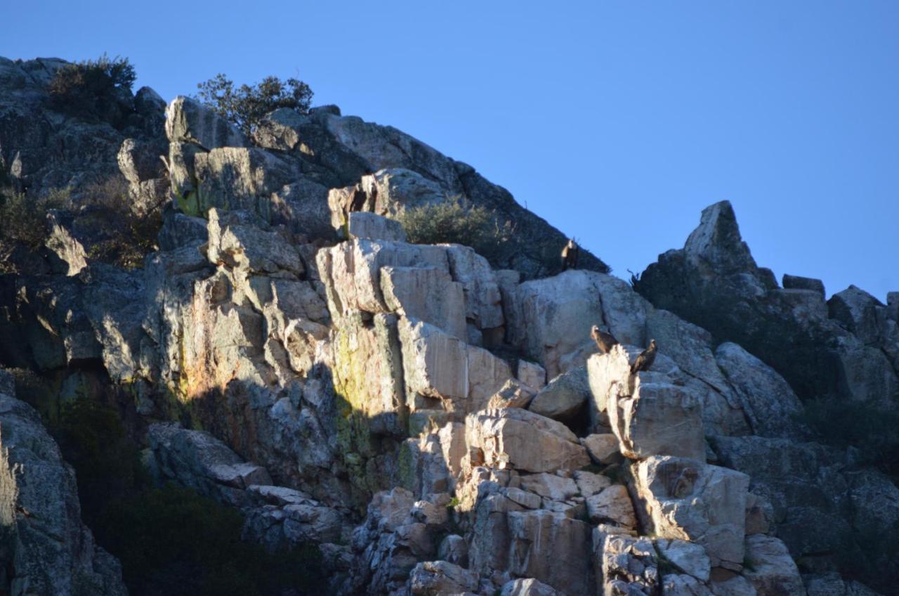 Alojamiento La Canada Monfrague Torrejon el Rubio Exterior photo